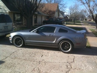mustang1s.webp