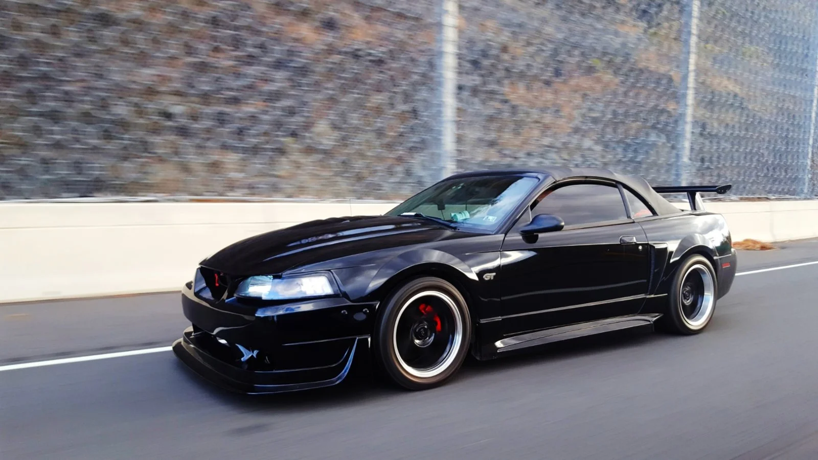 Mustang2-01.webp