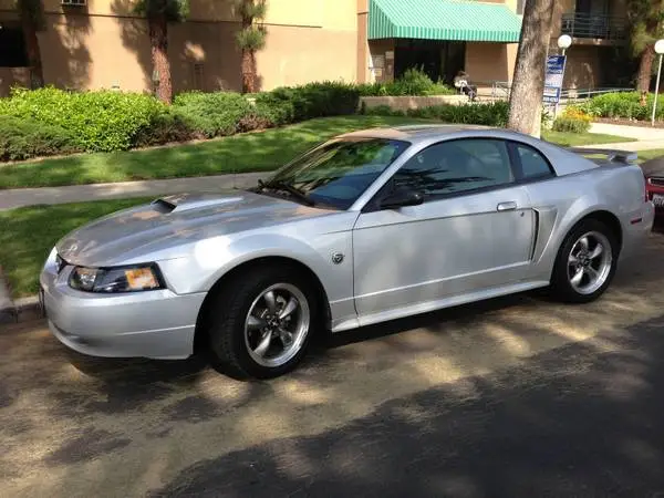 mustang2.webp