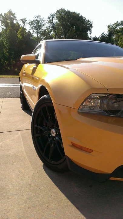Mustang2.webp