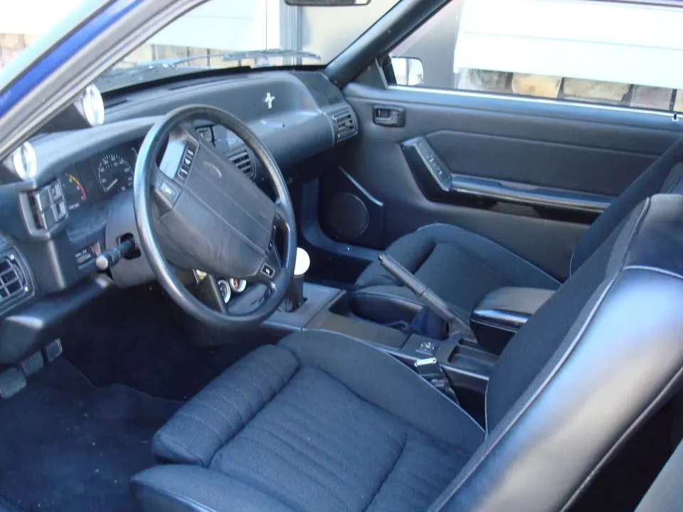 mustang2.webp