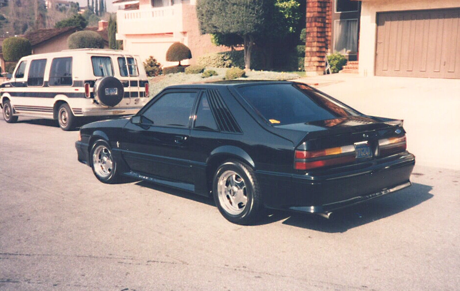 mustang2.webp
