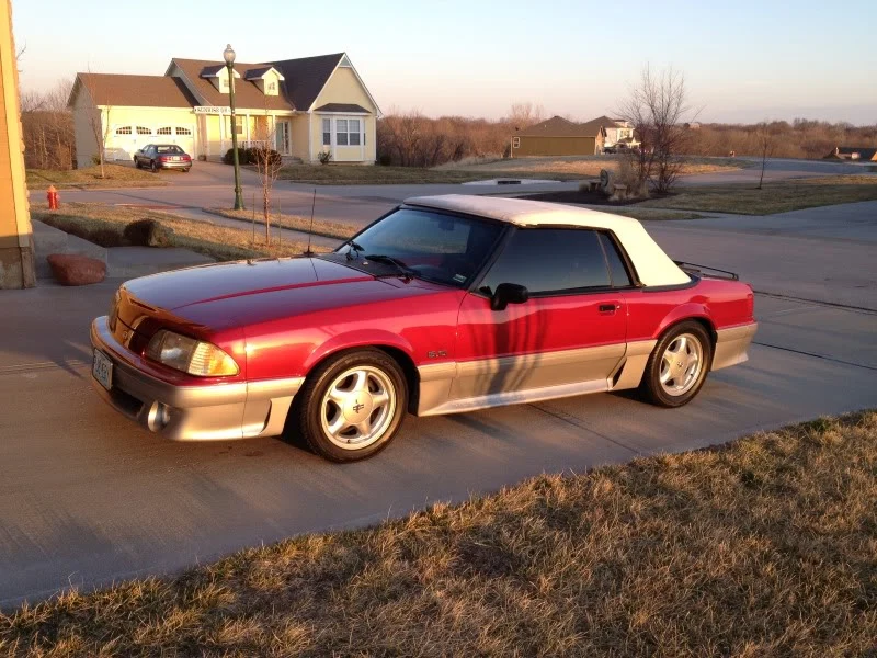 mustang2.webp