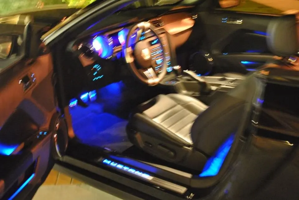 mustang2.webp
