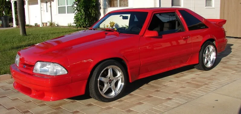 mustang2.webp