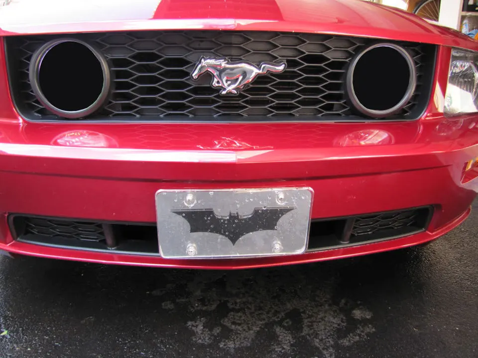 mustang2.webp