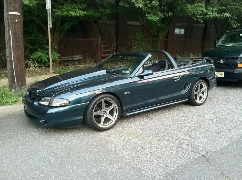 Mustang2.webp