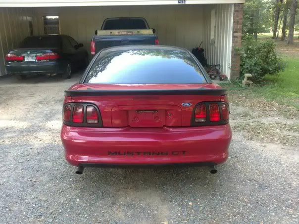 mustang2.webp