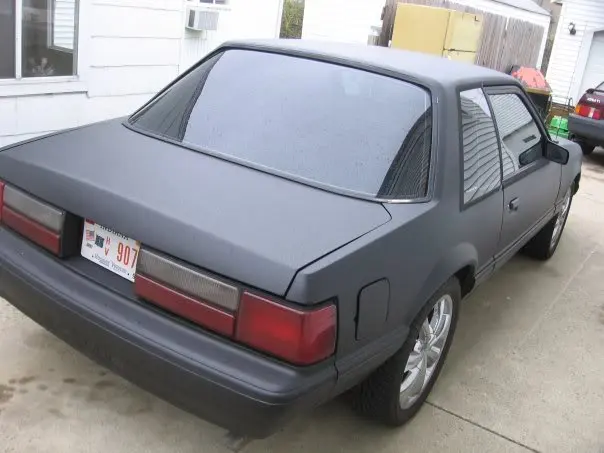 mustang2.webp