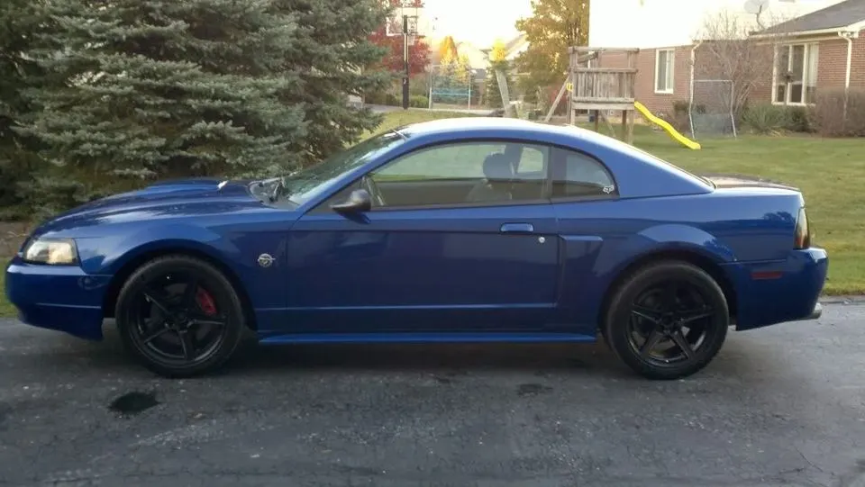 mustang2.webp