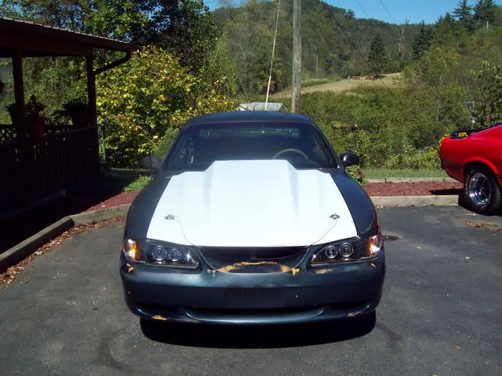 mustang2.webp