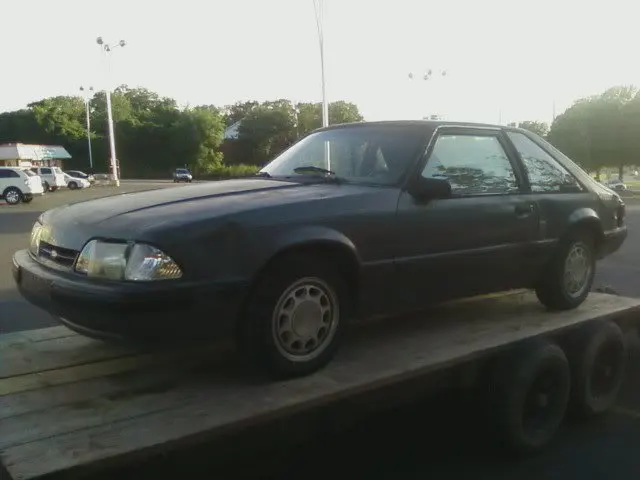 mustang2.webp