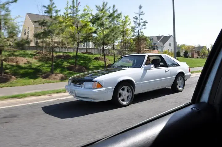 mustang2.webp