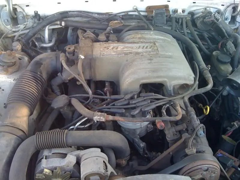 mustang2.webp