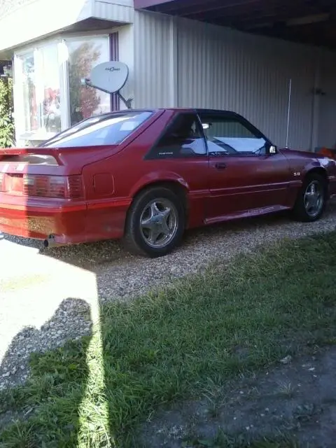 mustang2.webp