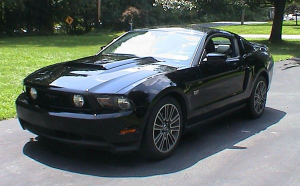 mustang2.webp