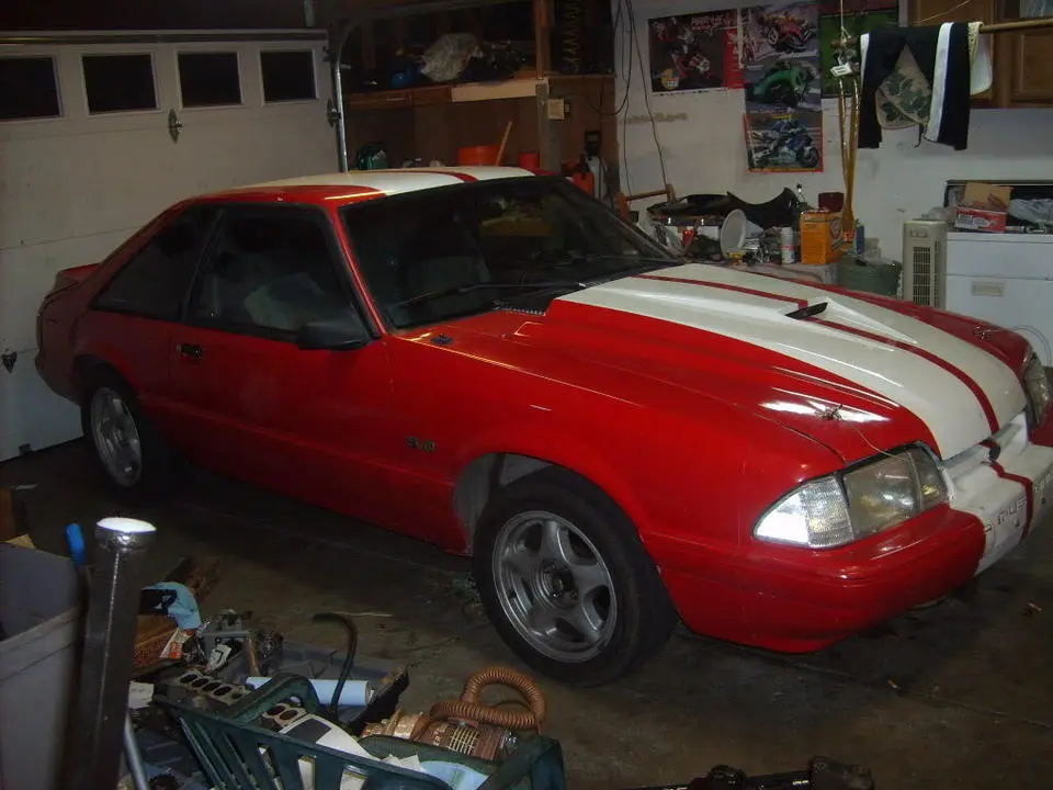 Mustang2.webp