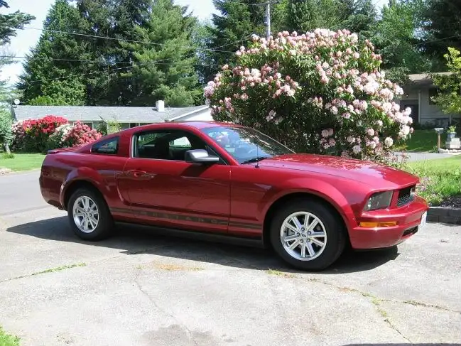 mustang2.webp