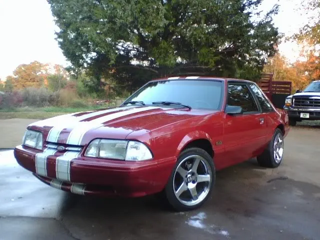 mustang2.webp