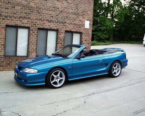 mustang2.webp
