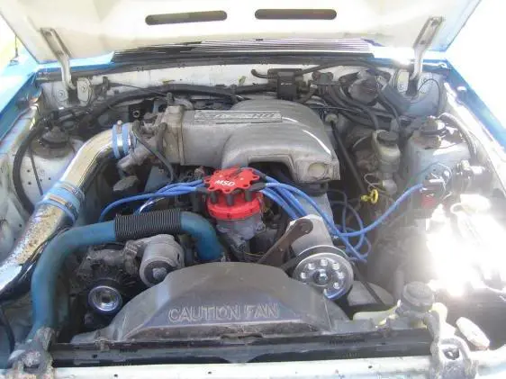 mustang2.webp