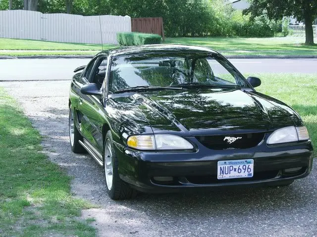 Mustang2.webp