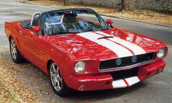 mustang2.webp