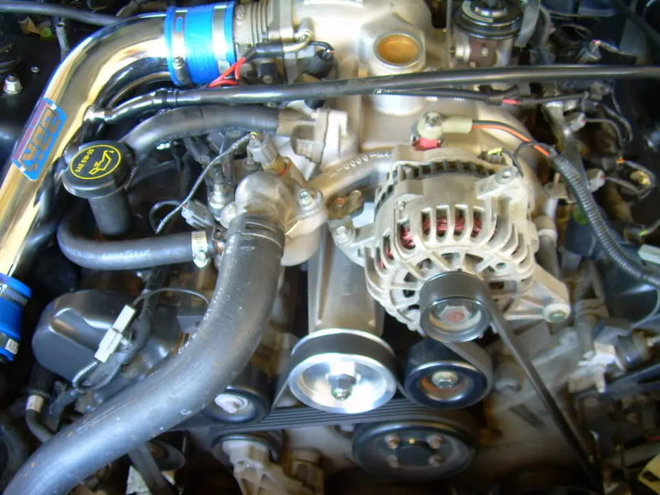 mustang2.webp