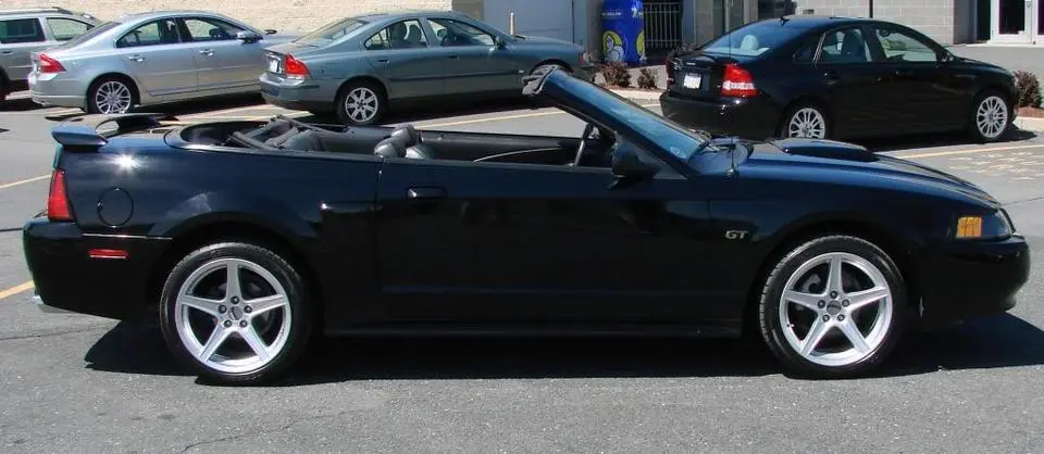 mustang2.webp