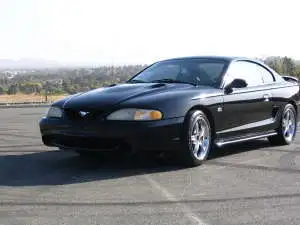mustang2.webp