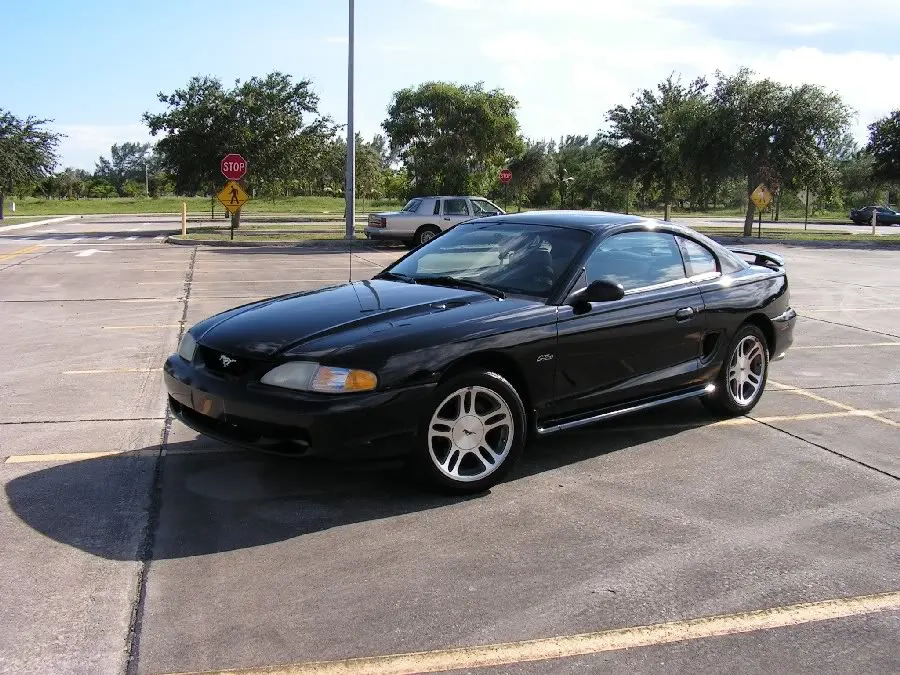 mustang2.webp