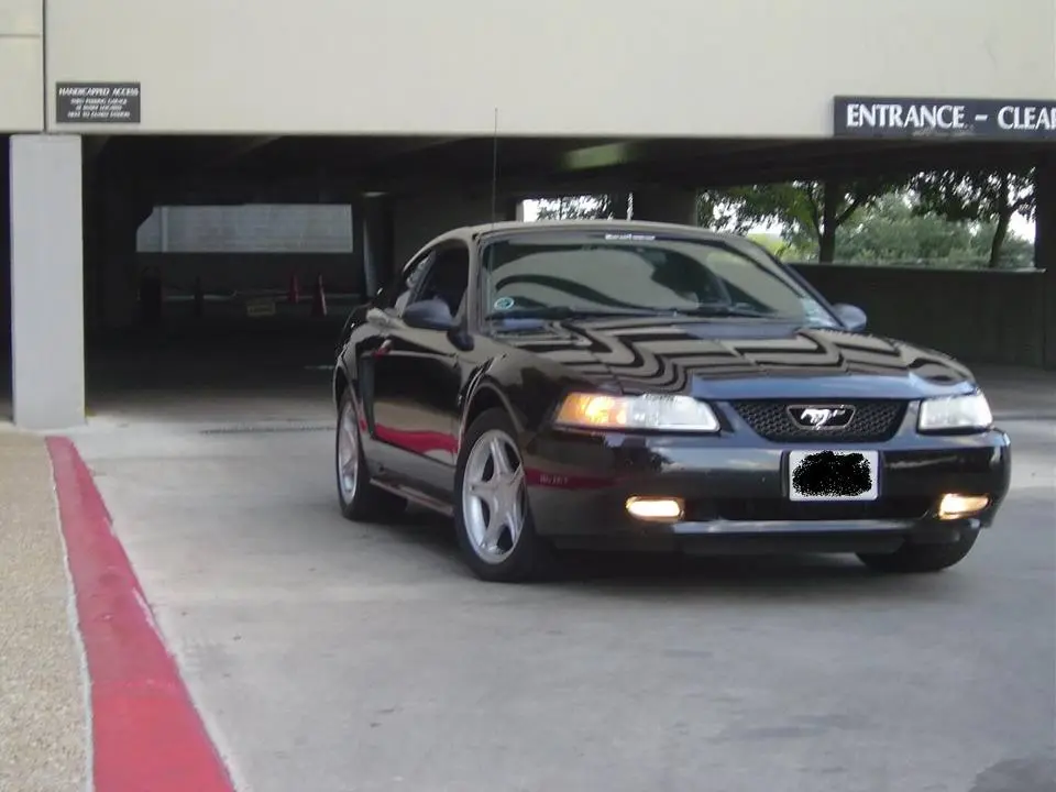 mustang2.webp