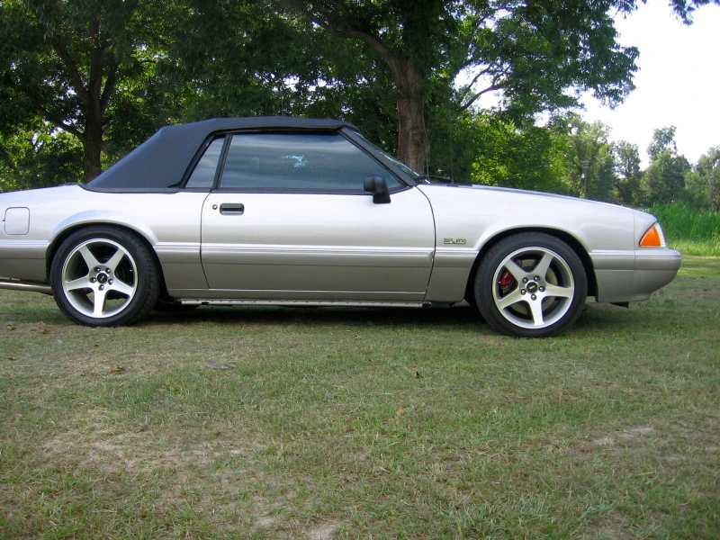 Mustang2.webp