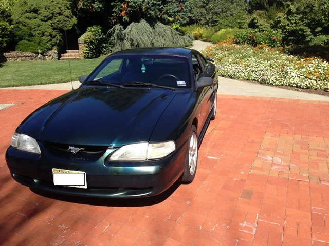 mustang2.webp