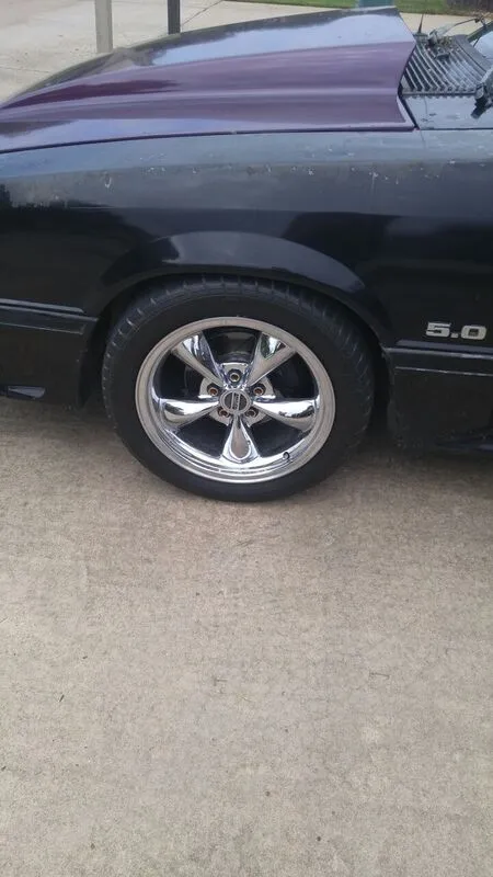 mustang2.webp