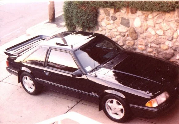 Mustang2.webp