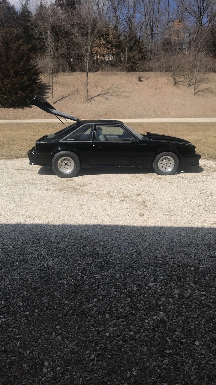 mustang2.webp