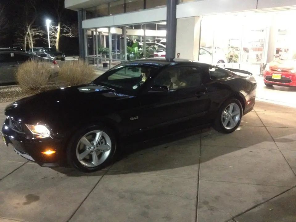 mustang2.webp