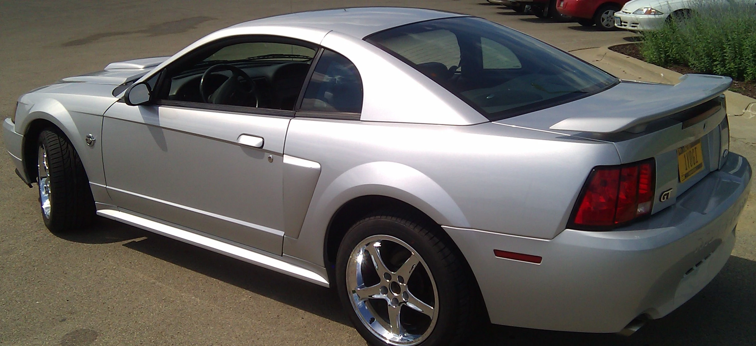 MUSTANG2.webp