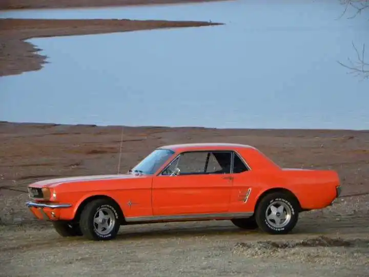 Mustang2.webp