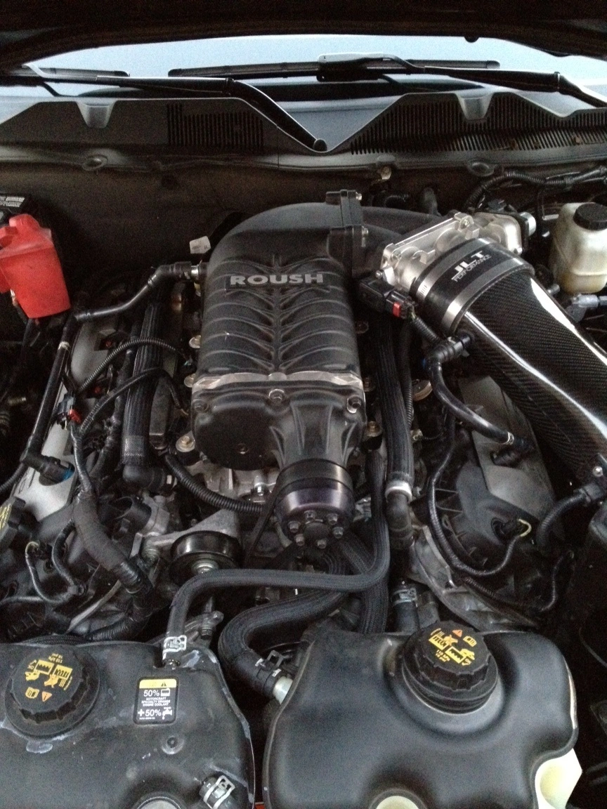 Mustang2.webp