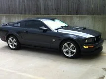 mustang2.webp