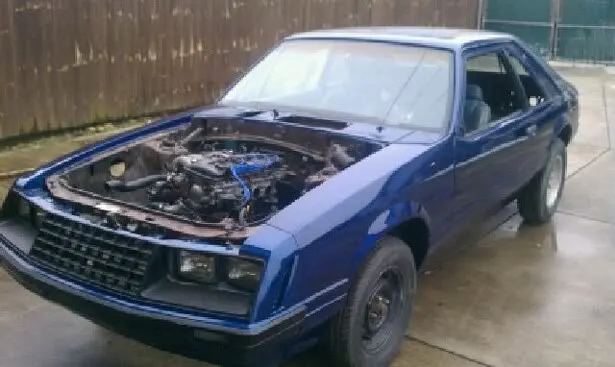 mustang20.webp