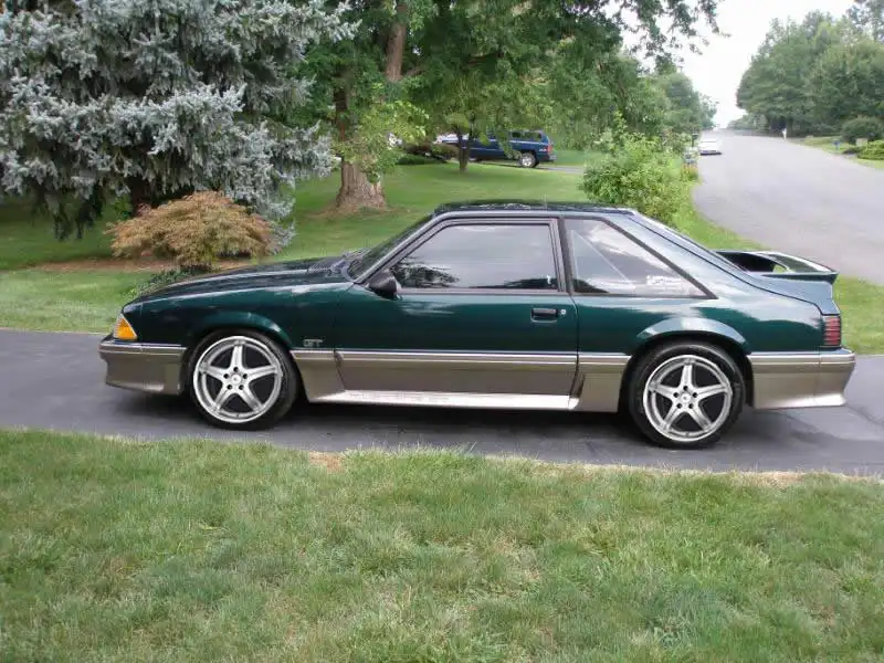 Mustang200.webp