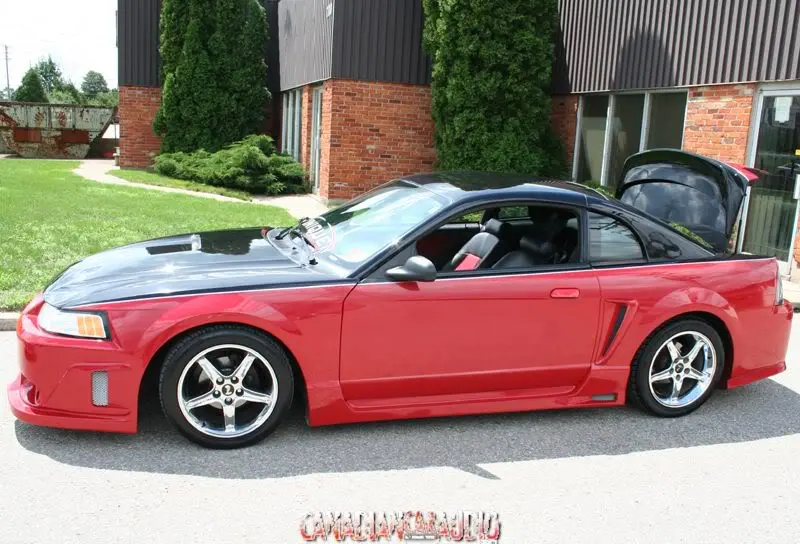Mustang2004Twotone.webp