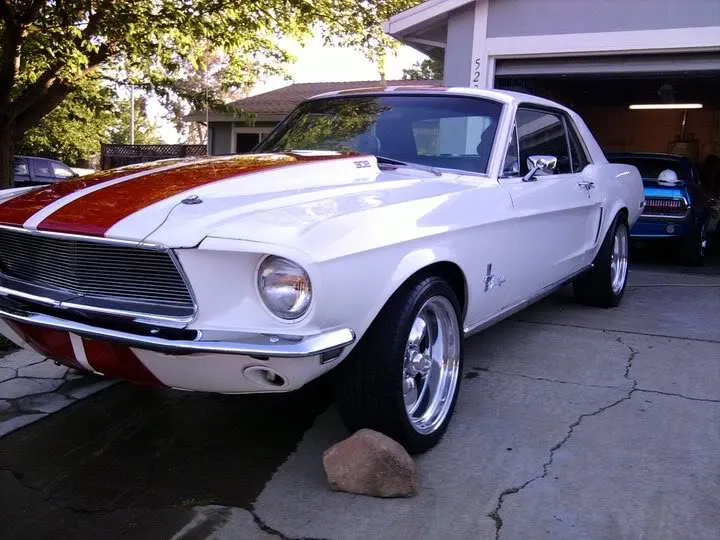 mustang2011.webp