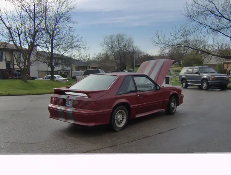 Mustang2013.webp