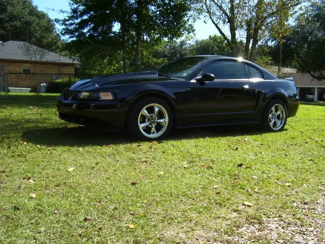 mustang2020.webp