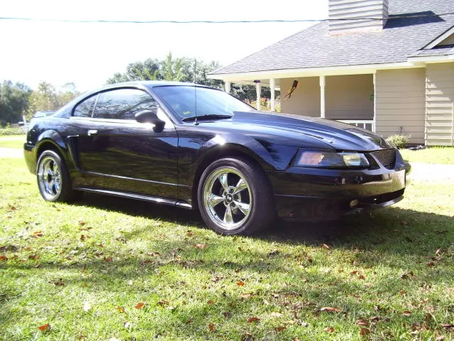 mustang2022.webp