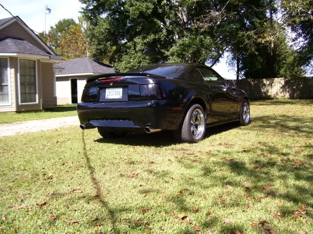 mustang2024.webp